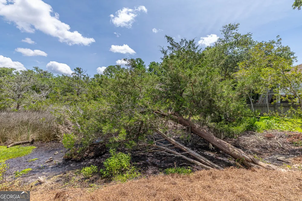 614 Cedar ST St. Simons, GA 31522