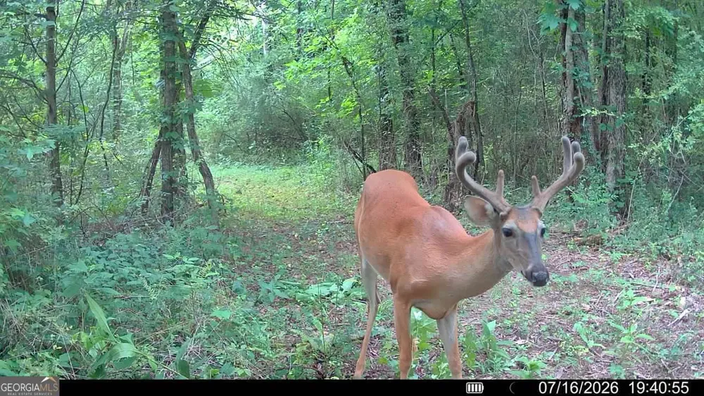 4619 S Highway 341 Chickamauga, GA 30707