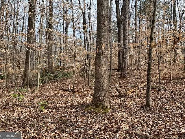 0 Duke ST Canton, GA 30114