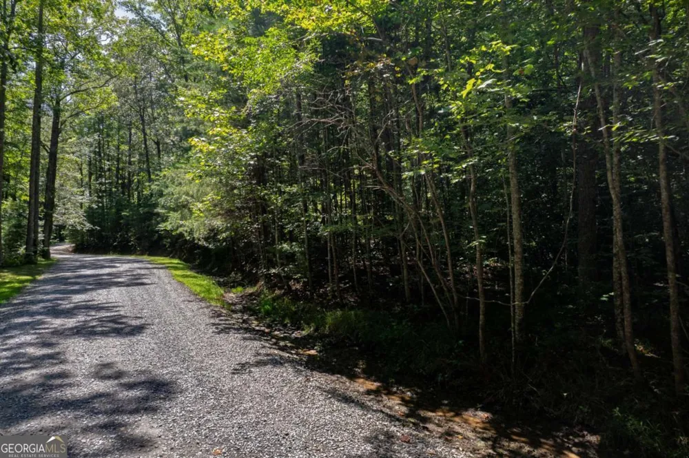 LOT 6 Heatherwood WAY Talking Rock, GA 30175