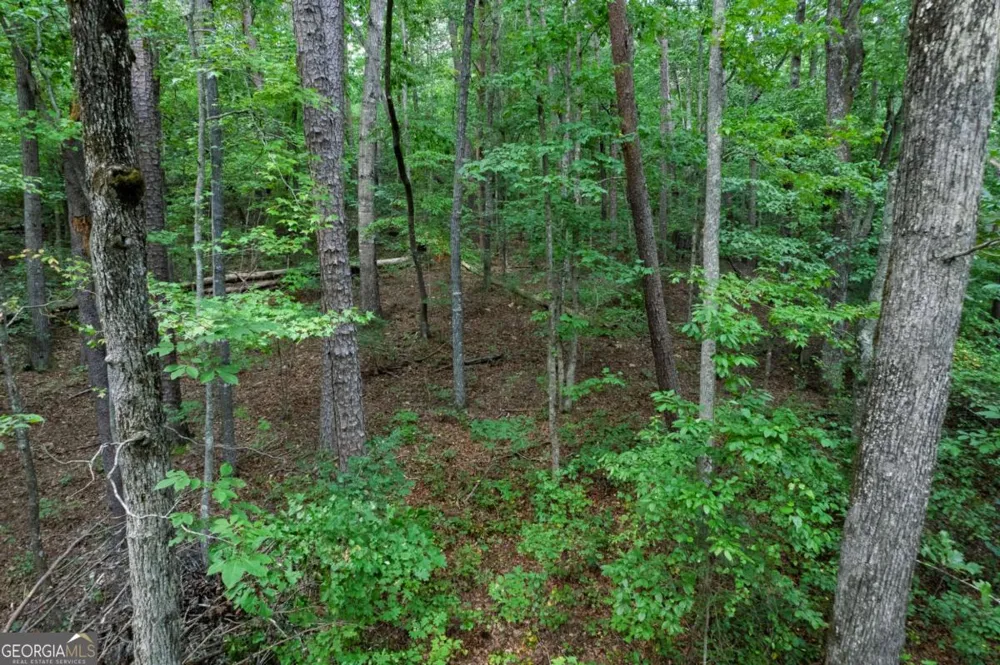 LOT 6 Heatherwood WAY Talking Rock, GA 30175