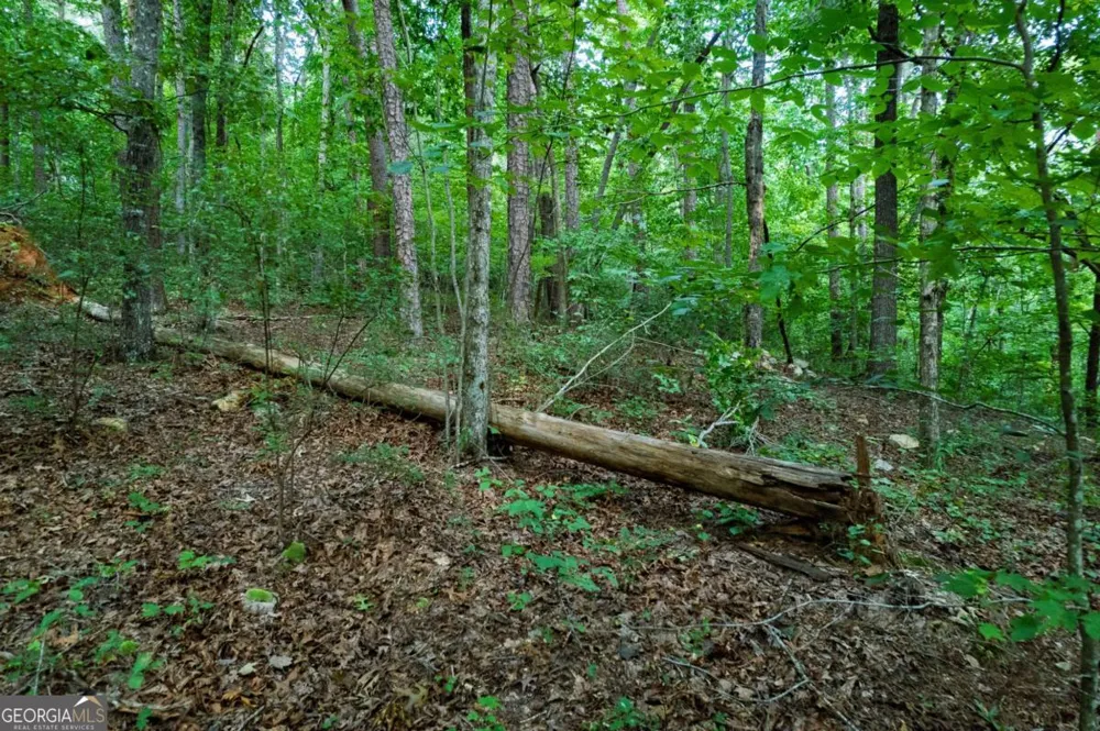 LOT 6 Heatherwood WAY Talking Rock, GA 30175
