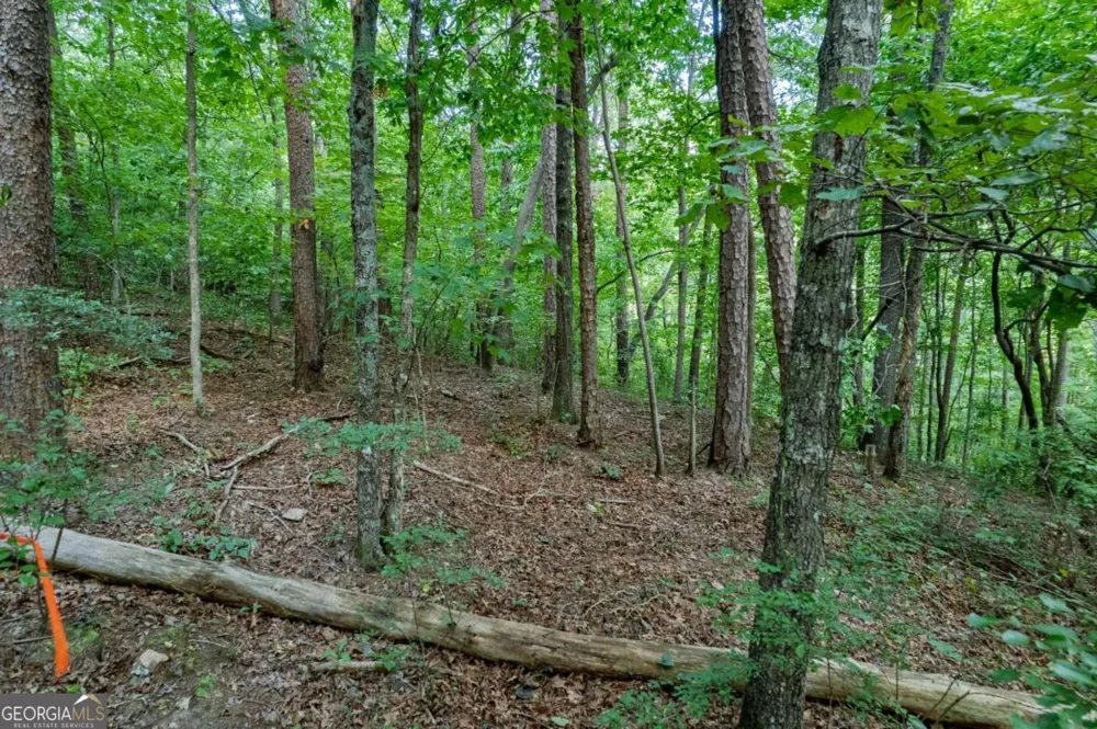 LOT 6 Heatherwood WAY Talking Rock, GA 30175