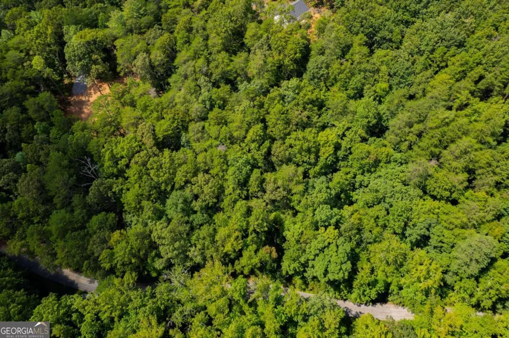 LOT 6 Heatherwood WAY Talking Rock, GA 30175