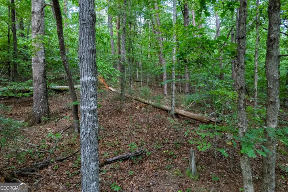 LOT 6 Heatherwood WAY Talking Rock, GA 30175