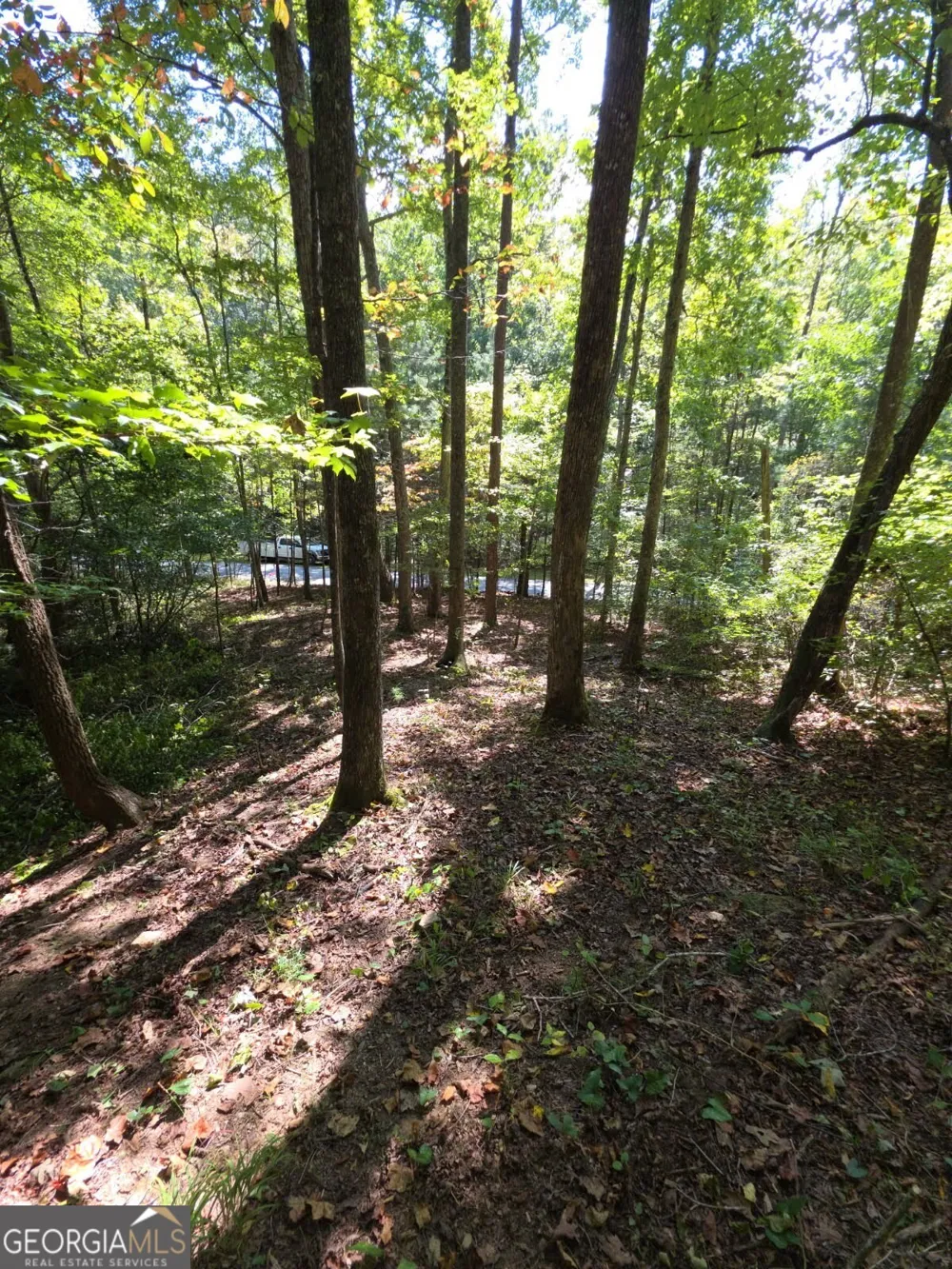 LOT 6 Heatherwood WAY Talking Rock, GA 30175