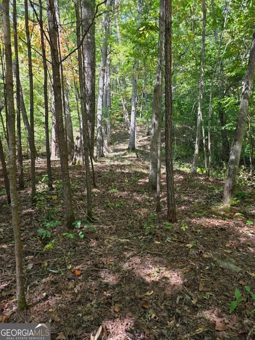 LOT 6 Heatherwood WAY Talking Rock, GA 30175