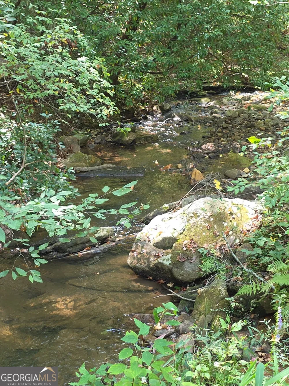 LOT 6 Heatherwood WAY Talking Rock, GA 30175