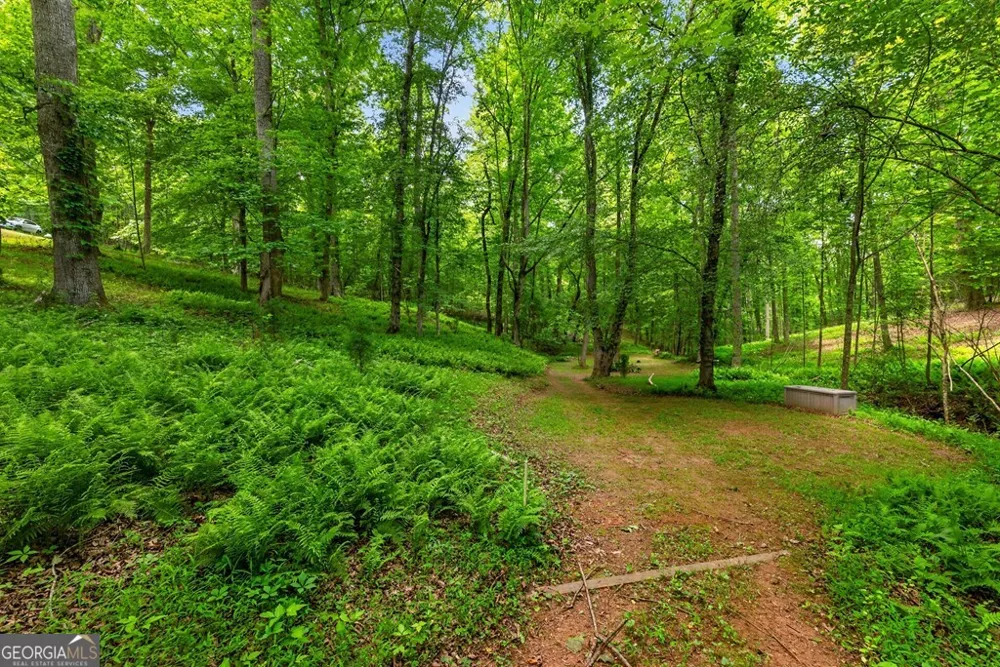 665 Shady LN Mineral Bluff, GA 30559