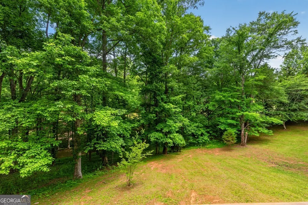 665 Shady LN Mineral Bluff, GA 30559