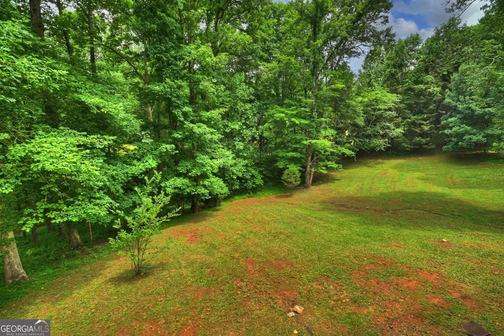 665 Shady LN Mineral Bluff, GA 30559