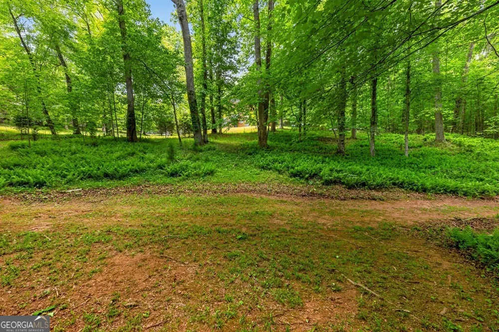 665 Shady LN Mineral Bluff, GA 30559