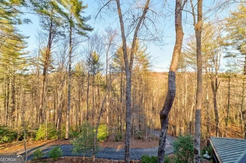 138 Lucius LN Cherry Log, GA 30522