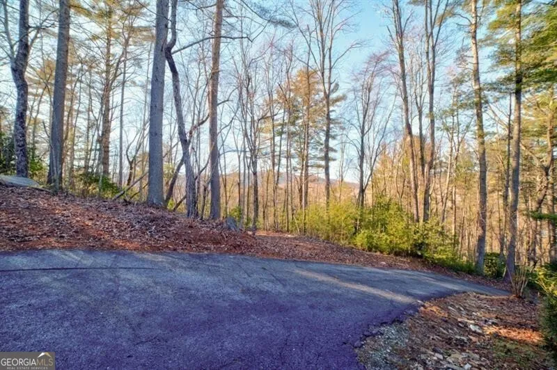 138 Lucius LN Cherry Log, GA 30522