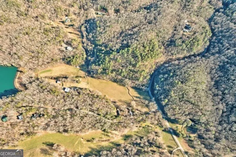 138 Lucius LN Cherry Log, GA 30522