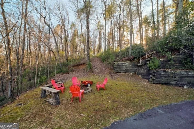 138 Lucius LN Cherry Log, GA 30522