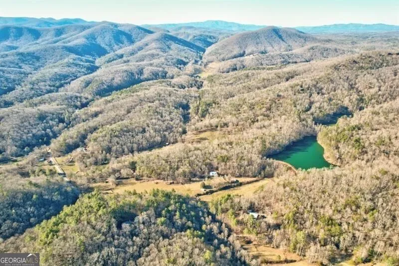 138 Lucius LN Cherry Log, GA 30522