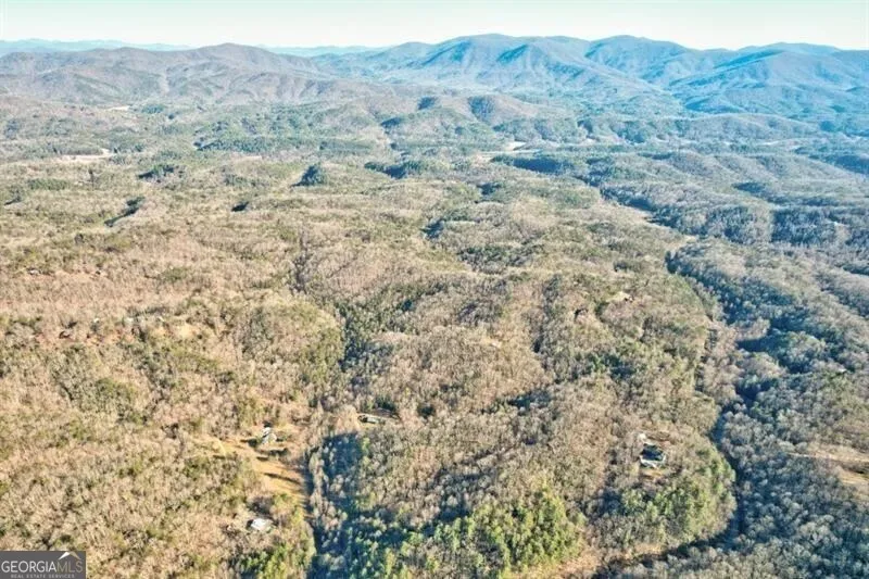 138 Lucius LN Cherry Log, GA 30522