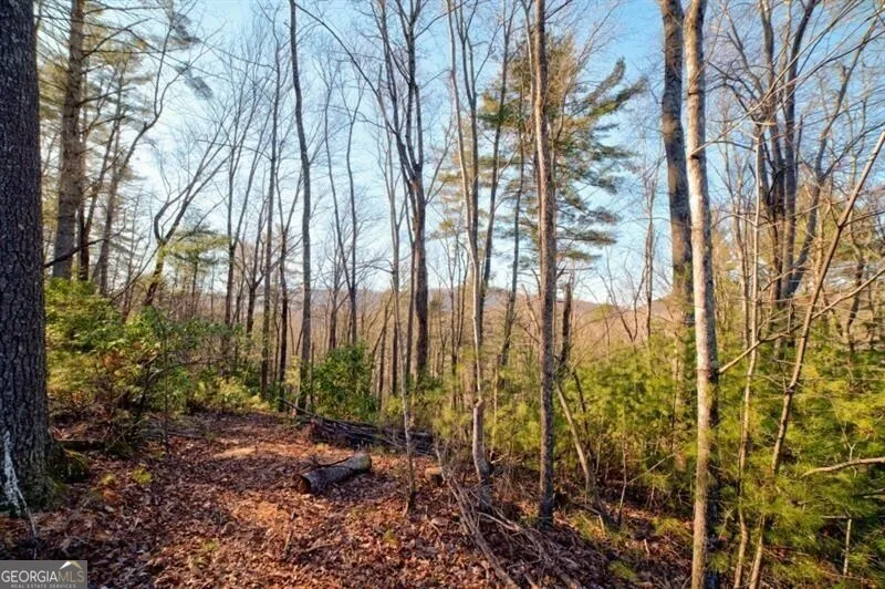138 Lucius LN Cherry Log, GA 30522