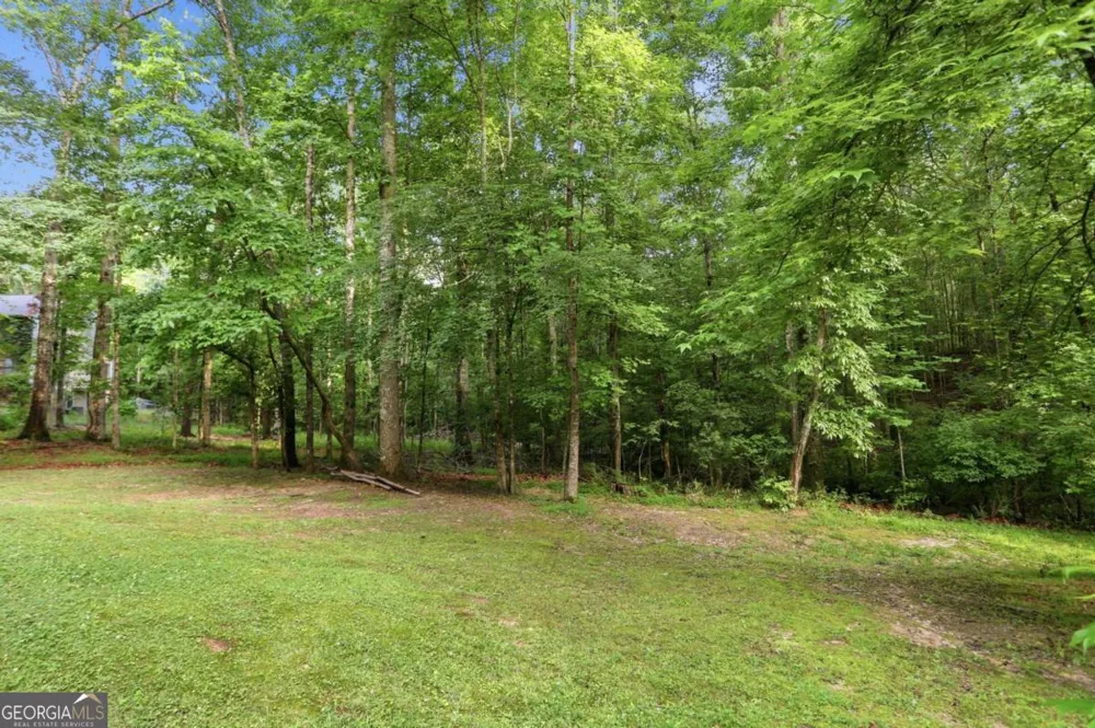 105 Woodsong CT Fayetteville, GA 30214