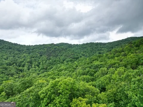 LOT 36 Winding View