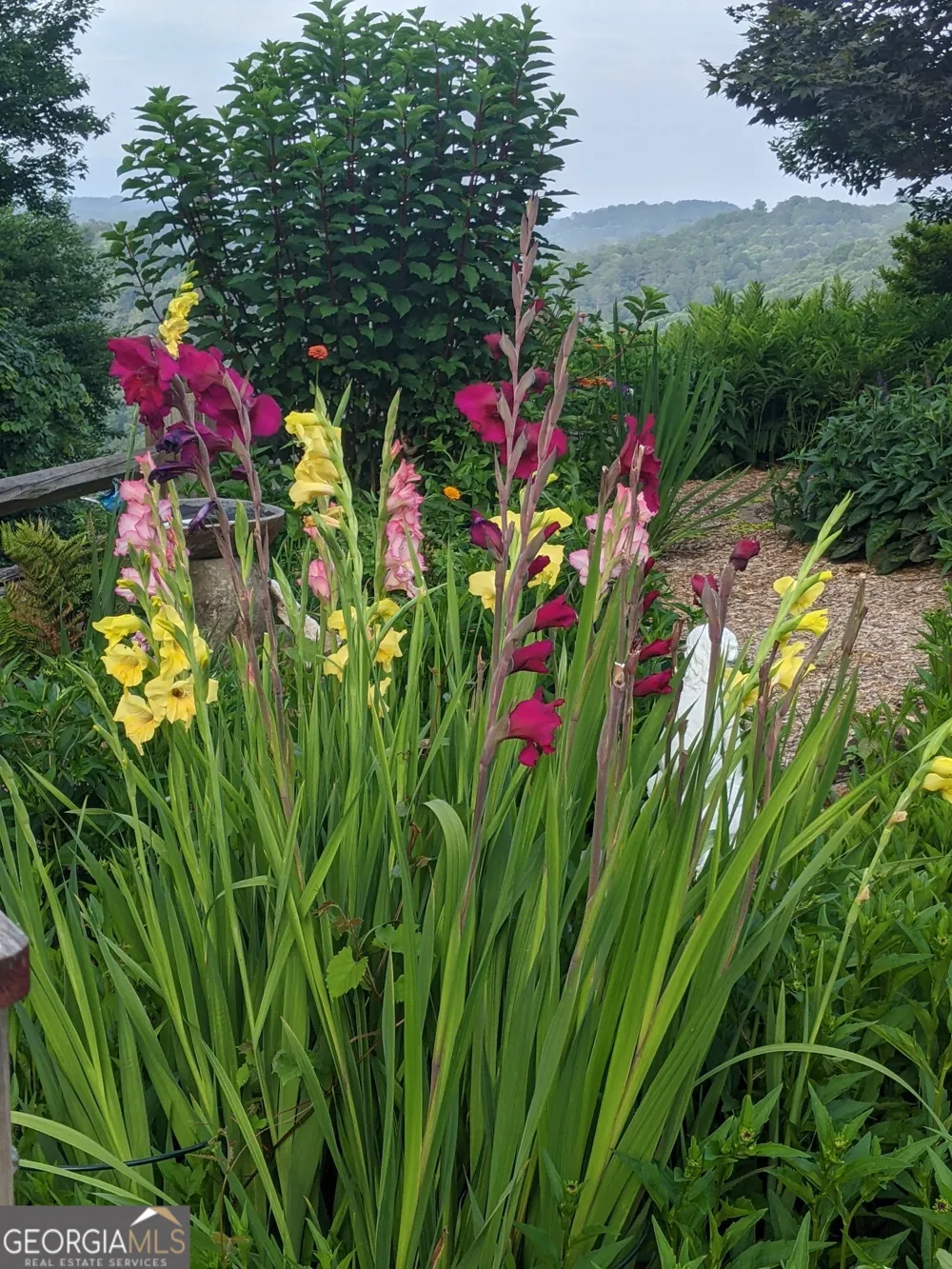 95 Scenic WAY Ellijay, GA 30540