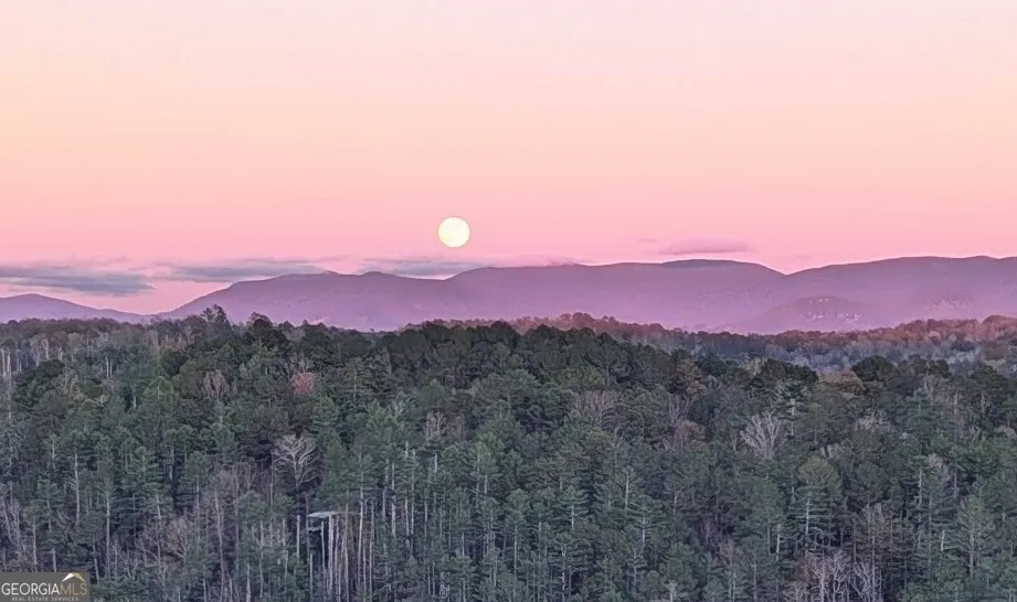95 Scenic WAY Ellijay, GA 30540
