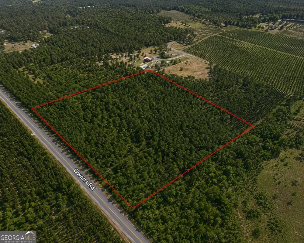 9.01 ACRES Livingston Farm RD Mcrae-Helena, GA 31055