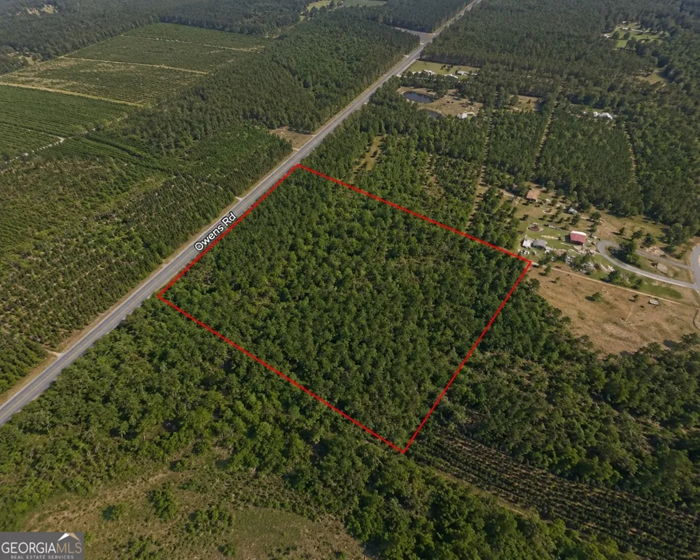 9.01 ACRES Livingston Farm RD Mcrae-Helena, GA 31055