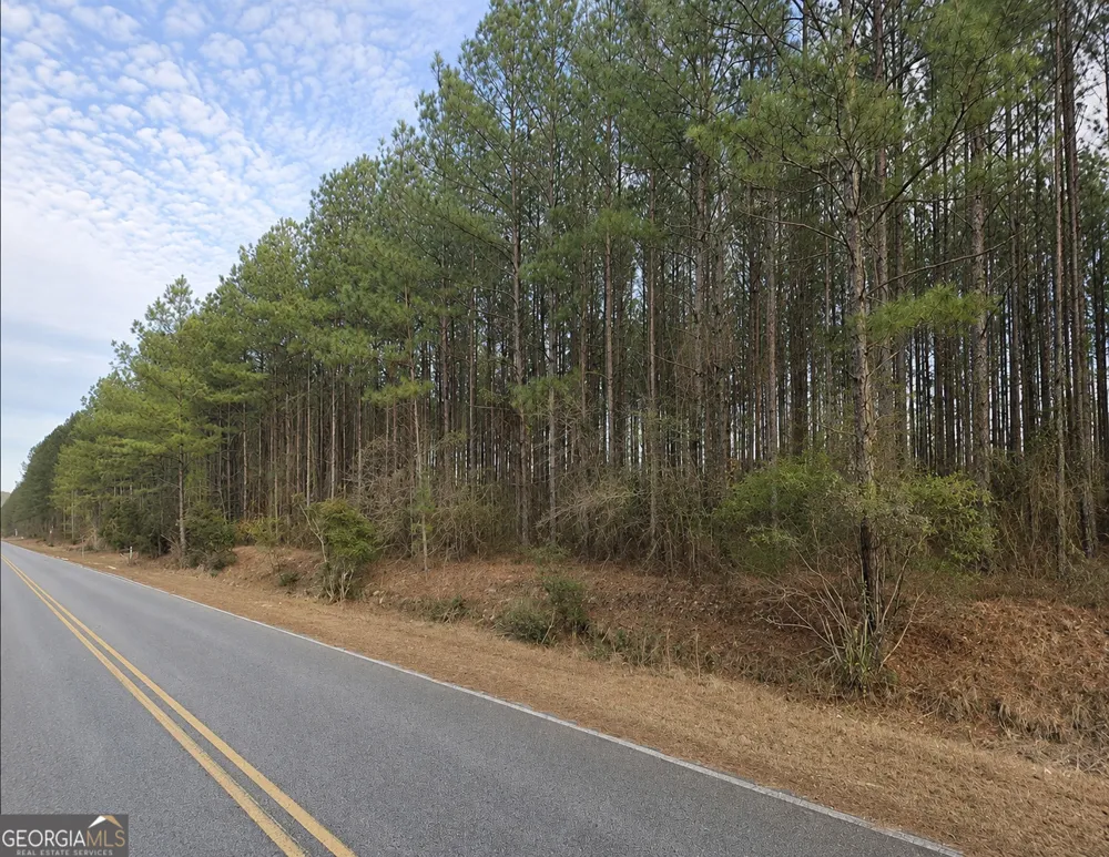 9.01 ACRES Livingston Farm RD Mcrae-Helena, GA 31055