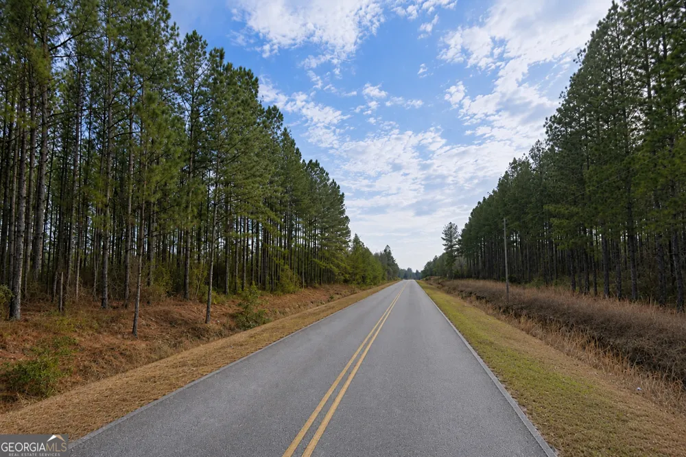 9.01 ACRES Livingston Farm RD Mcrae-Helena, GA 31055