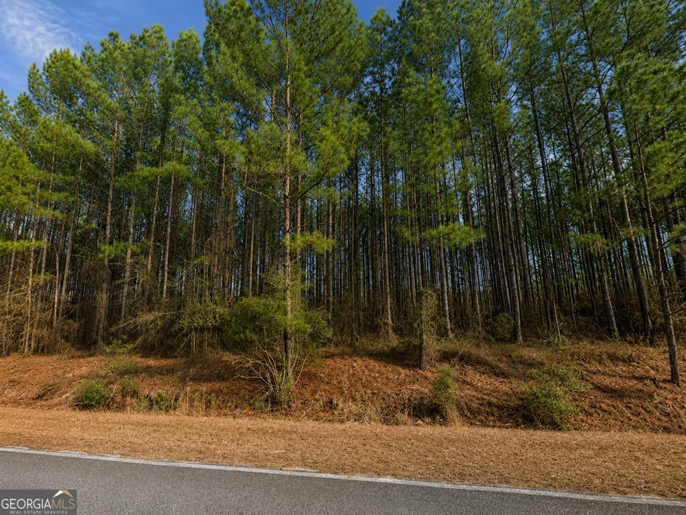 9.01 ACRES Livingston Farm RD Mcrae-Helena, GA 31055