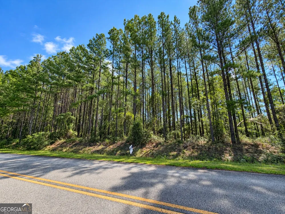9.01 ACRES Livingston Farm RD Mcrae-Helena, GA 31055