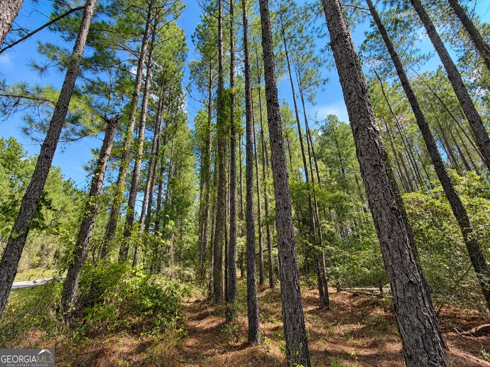 9.01 ACRES Livingston Farm RD Mcrae-Helena, GA 31055