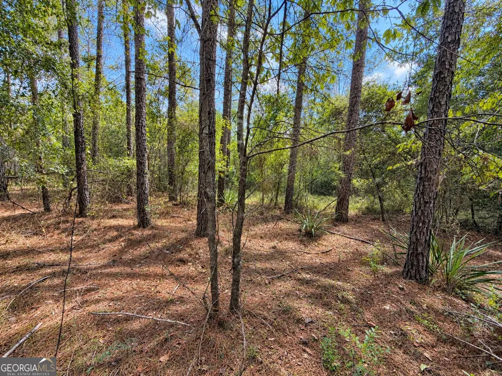 9.01 ACRES Livingston Farm RD Mcrae-Helena, GA 31055