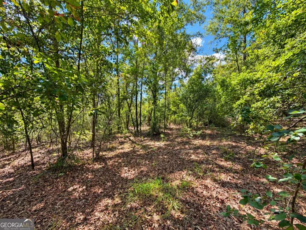 9.01 ACRES Livingston Farm RD Mcrae-Helena, GA 31055
