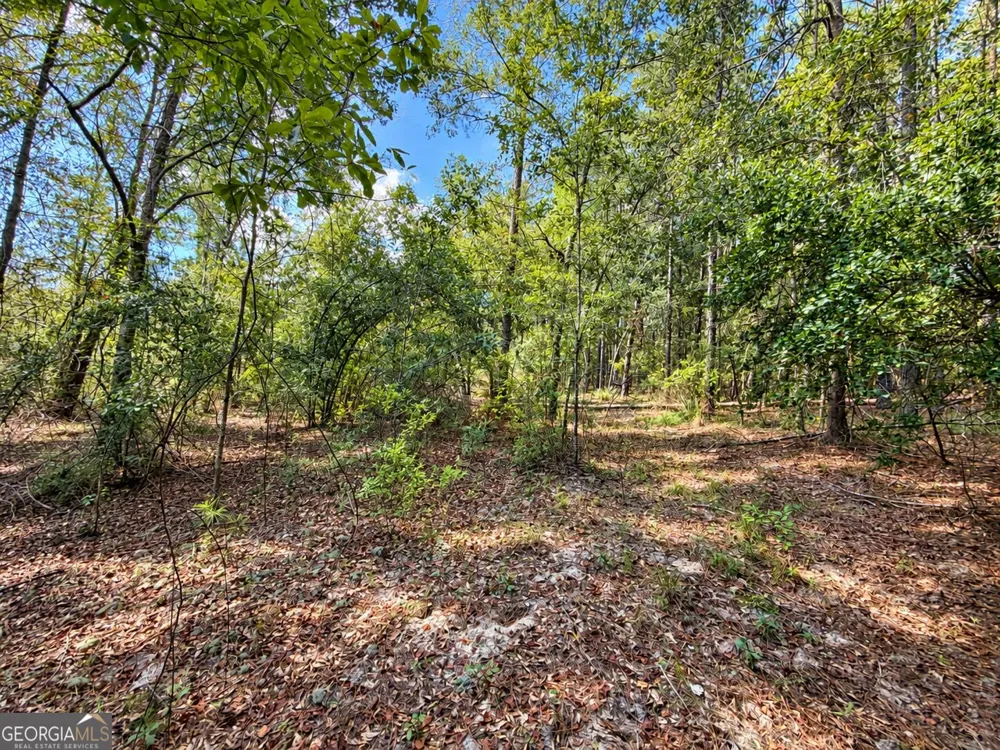 9.01 ACRES Livingston Farm RD Mcrae-Helena, GA 31055