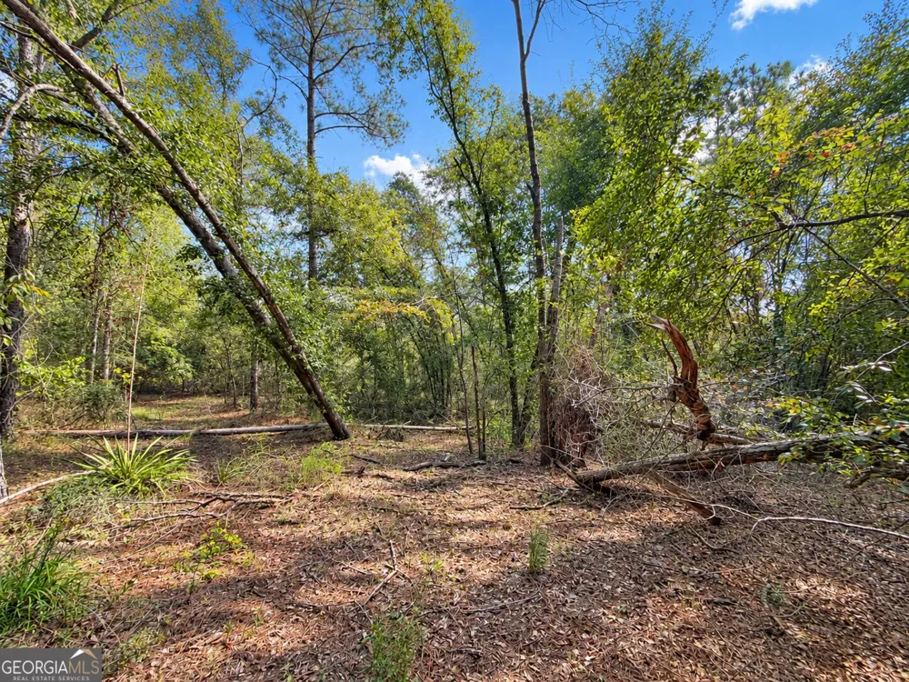 9.01 ACRES Livingston Farm RD Mcrae-Helena, GA 31055