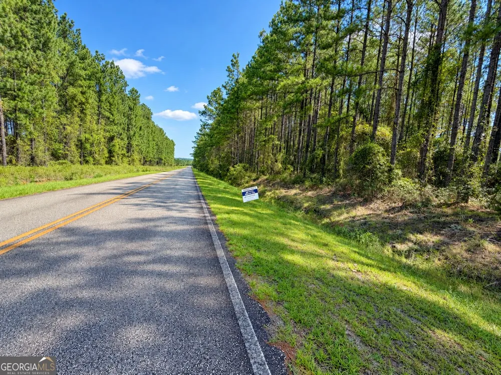 9.01 ACRES Livingston Farm RD Mcrae-Helena, GA 31055