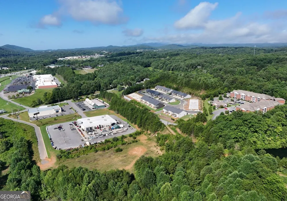 25 Grove LOOP Blue Ridge, GA 30513