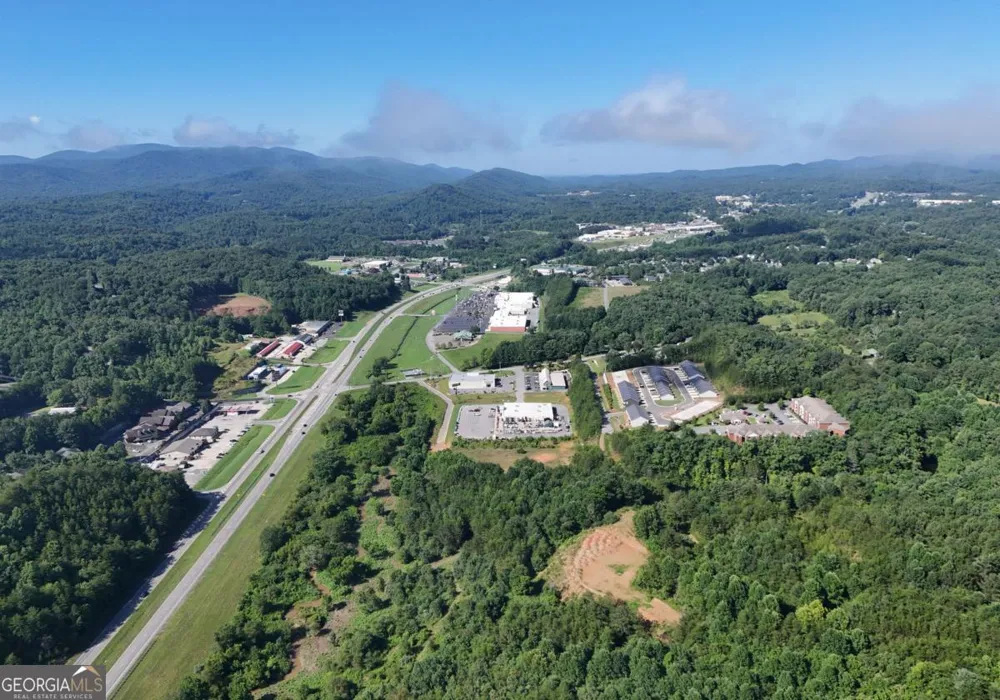 25 Grove LOOP Blue Ridge, GA 30513