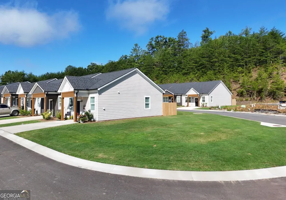 25 Grove LOOP Blue Ridge, GA 30513