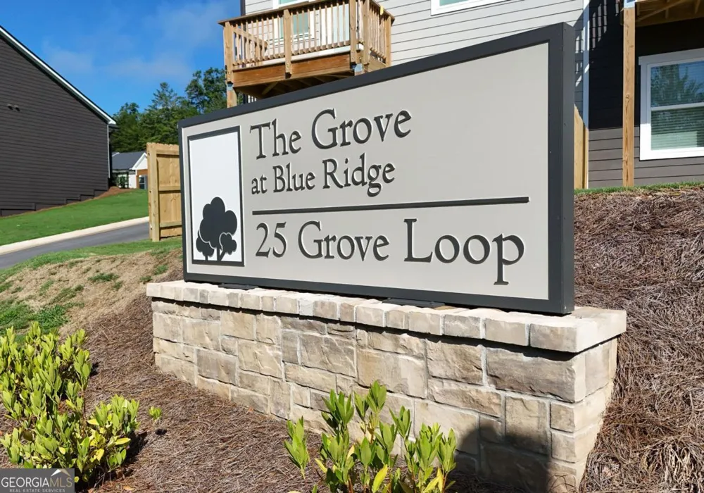 25 Grove LOOP Blue Ridge, GA 30513