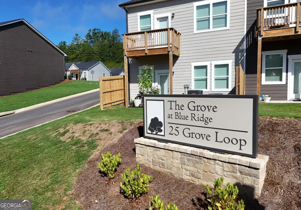 25 Grove LOOP Blue Ridge, GA 30513