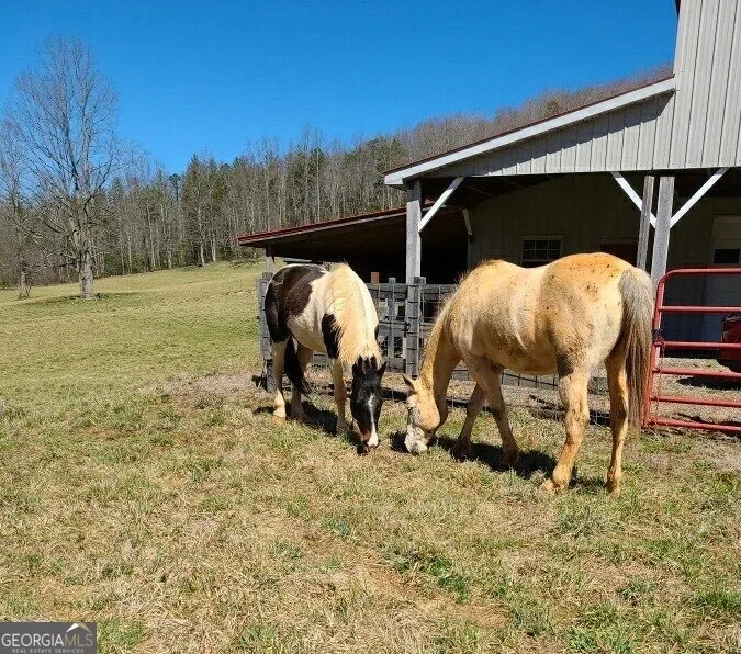 137 Blue Spruce DR Blairsville, GA 30512
