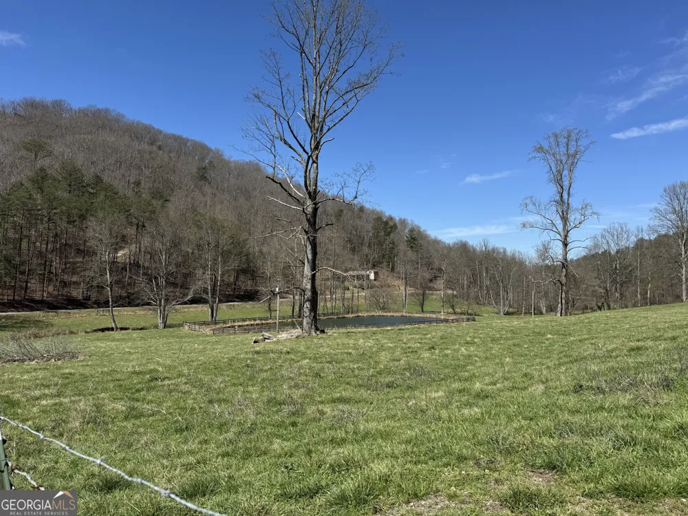 137 Blue Spruce DR Blairsville, GA 30512