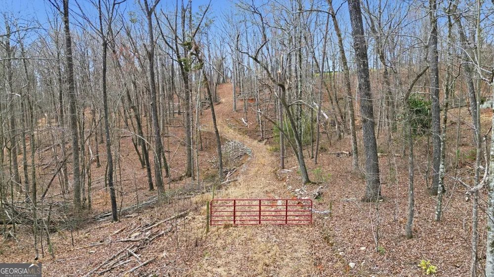 2300 Stonepile RD Clarkesville, GA 30523