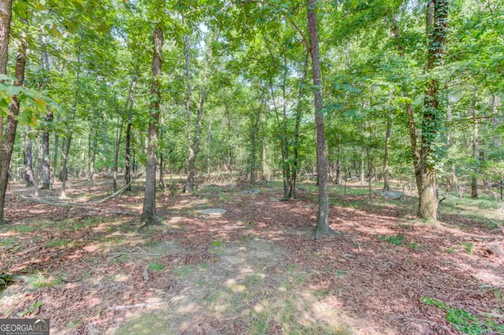 374 Academy Woods DR Jefferson, GA 30549