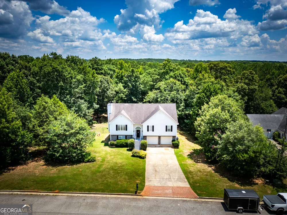 314 Black Willow CT Locust Grove, GA 30248
