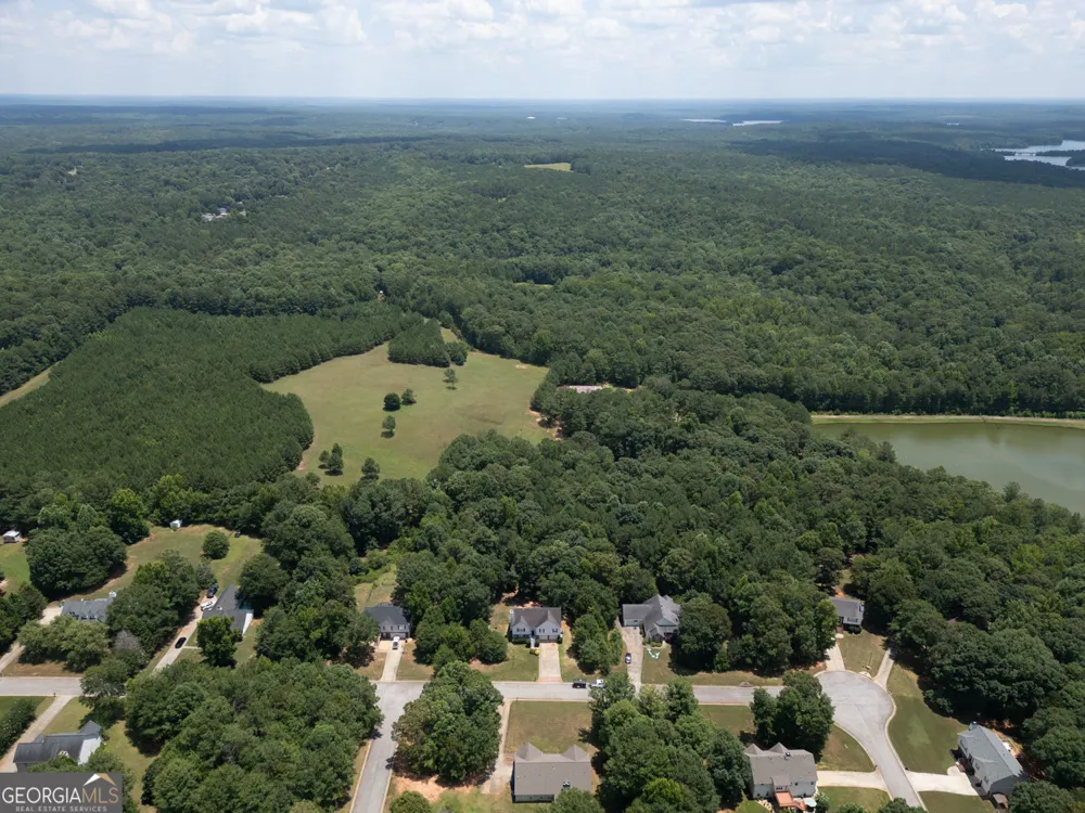 314 Black Willow CT Locust Grove, GA 30248